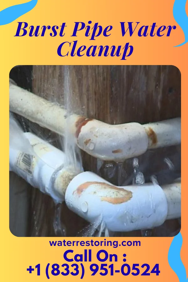 Burst Pipe Water Cleanup in Quaker City, OH