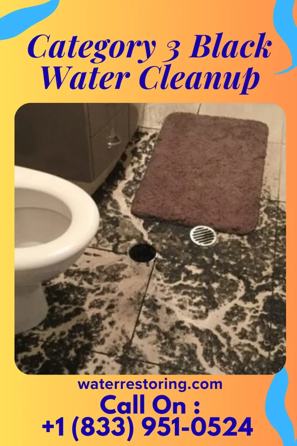Category 3 Black Water Cleanup in Quaker City, OH